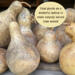 This shows several dried gourds out of the garden. 